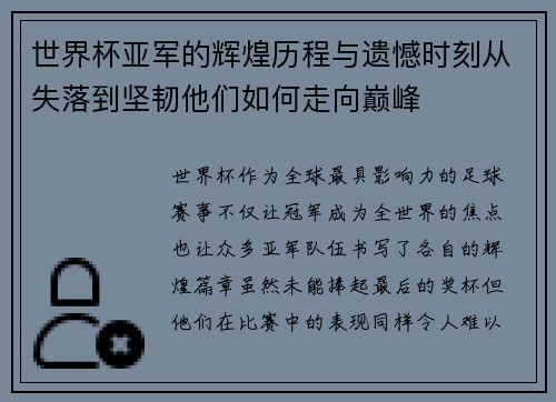 世界杯亚军的辉煌历程与遗憾时刻从失落到坚韧他们如何走向巅峰
